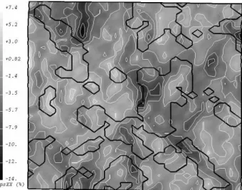 Figure 2.21 : Micrographie de la zone étudiée Figure 2.22 : Déformation  XX (axe de traction ver-