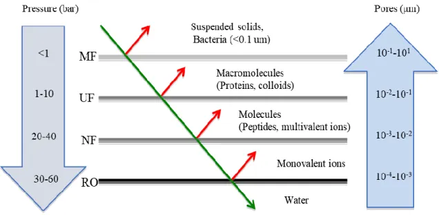 Figure 1.3: Pressure-driven membranes according to the size of the particles retained