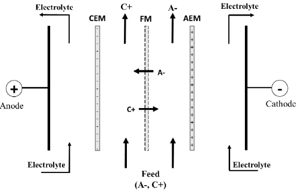 Figure  1.6:  Principle  of  electrophoretic  membrane  contractor.  CEM:  Cation-exchange  membrane,  AEM:  Anion-exchange membrane, FM: Filtration membrane