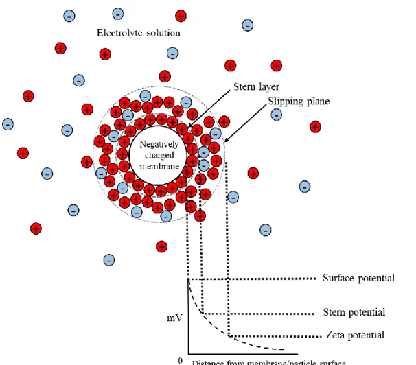 Figure 1.14: Schematic representation of zeta potential of filtration membranes (Adapted and modified from  [118]) 