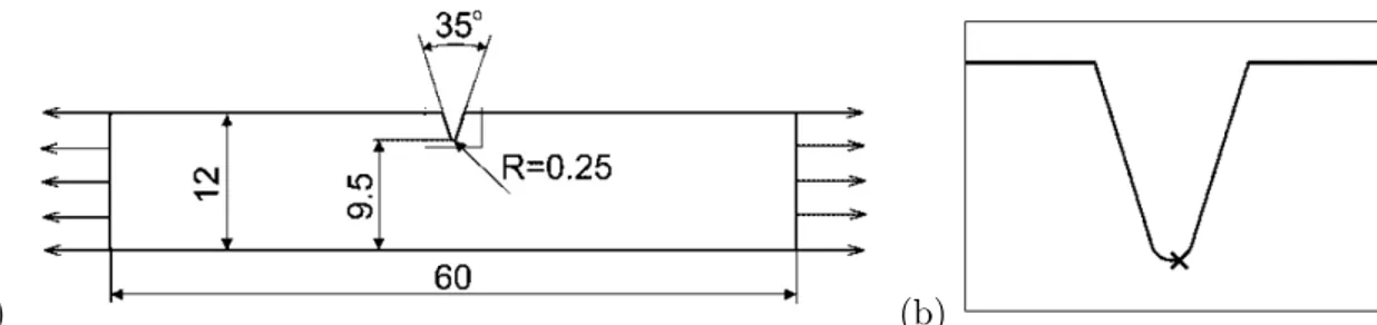 Fig. 3.6 – L’´ eprouvette entaill´ ee dans l’essai de traction : dimensions de l’´ eprouvette (a) et la position du point particulier o` u le tenseur de d´ eformation et son gradient sont enregistr´ es (b).