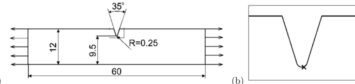 Fig. 3.6 – L’´ eprouvette entaill´ ee dans l’essai de traction : dimensions de l’´ eprouvette (a) et la position du point particulier o` u le tenseur de d´ eformation et son gradient sont enregistr´ es (b).