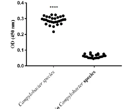 Figure  4.    Caracterization  of  the  polyclonal  serum  by  ELISA.  A)  Reactivity  of 
