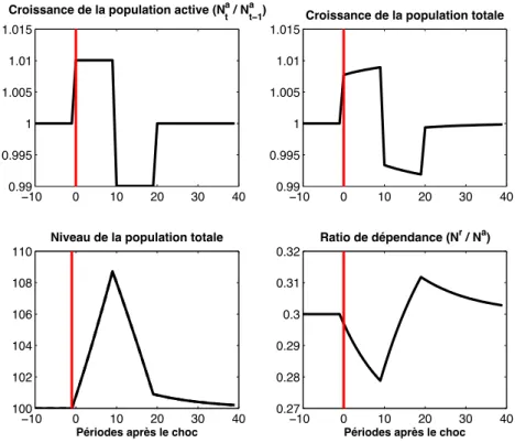 Figure 3.1 – Évolution de la démographie lors d’un pic de natalité