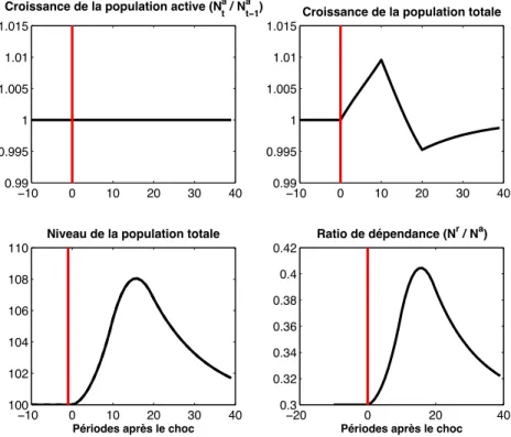 Figure 3.5 – Évolution de la démographie lors d’une hausse de l’espérance de vie La figure 3.5 illustre les effets de ce choc sur les variables démographiques du modèle