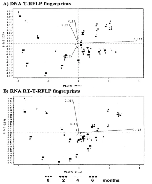 Fig. 5. Principal components analysis of (A) T-RFLP and (B) RT-T-RFLP fingerprints  after 0, 2, 4 and 6 months