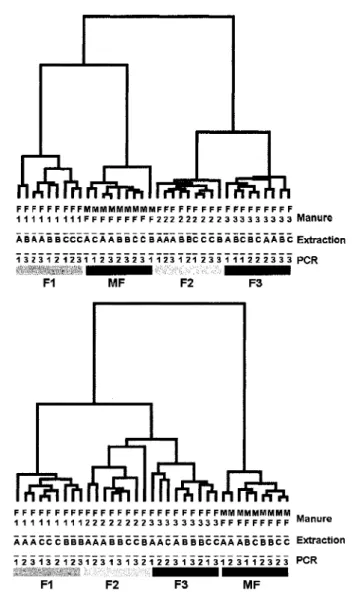 Fig. 2. UPGMA dendrograms of A. LH-PCR and B. LH-RT-PCR fingerprints. 