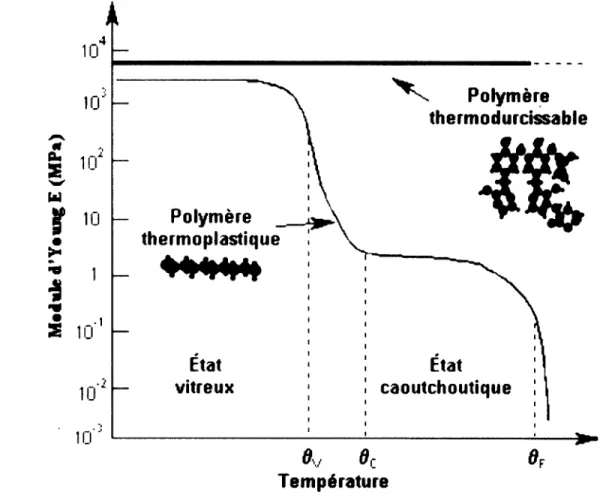 Figure 3  :  Proprietis elastiques des polymeres en fonction de la temperature [7]