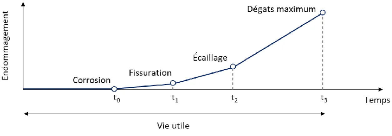 Figure 2 - Étapes de la vie de service d’une structure béton affectée par la corrosion, adapté de [9] 