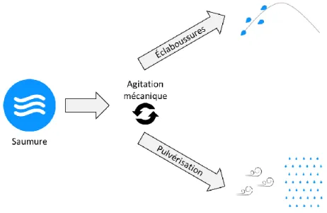 Figure 14 - Schéma de la création du brouillard salin et de la projection des éclaboussures 