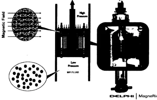 Figure 2.21  Alignement des particules du fluide  MR  soumis i  un champ magnétique |13]
