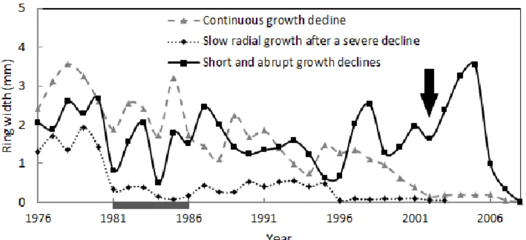 Figure 2.3 Three different ring series patterns that were observed prior to tree death: i) long  periods  of  continuous  growth  decline  interspersed  with  small  pulses  of  radial  growth  that  ended with tree death, ii) long periods of slow radial g