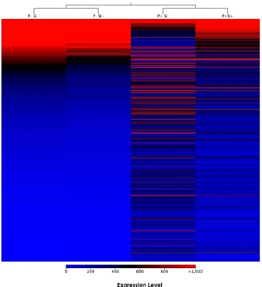 Figure  2.  Heat  map  of  differentially  expressed  genes  in Phytophthora  sojae  infecting  soybean 