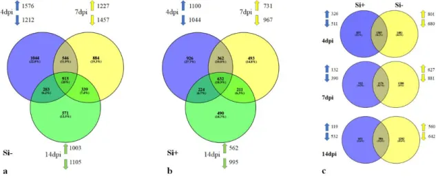 Figure  6.  Venn  diagram.  Graphs  show  the  number  of  differentially  expressed  genes  (DEGs) 