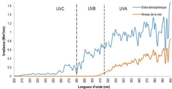 Figure 5. Irradiance des rayons UV, à l’extérieur de l’atmosphère et au niveau de la mer