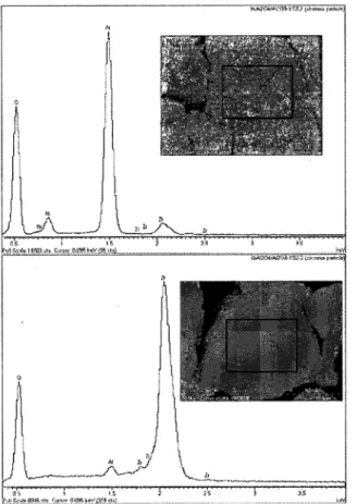 Figure 4.8 Image MEB et analyse EDXS du catalyseur 2-NiAl2O4ZAl2O3-YSZ