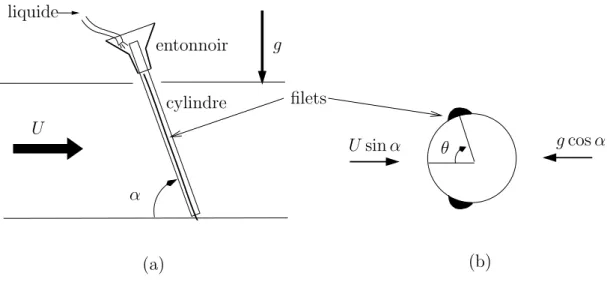 Fig. 2.9 – Montage exp´erimental pour la mesure de la position des filets. (a) Vue de cˆot´e ; (b) vue en coupe perpendiculaire `a l’axe du cylindre.