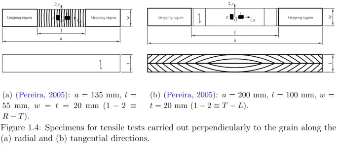 Figure 1.4: Specimens for tensile tests carried out perpendicularly to the grain along the (a) radial and (b) tangential directions.