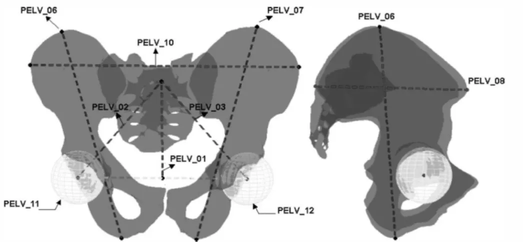 Figure 35 : Paramètres 3D morphométriques calculés sur l'ensemble du bassin. [Mitton et coll