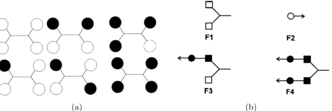 Fig. 2.9 – Diff´ erentes fragments r´ eactionnels dans le cas d’un monom` ere t´ etra-fonctionnel
