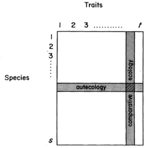 Figure 1.1  L’écologie comparative et l’autécologie sont des approches  orthogonales (d’après Keddy, 1992b) 