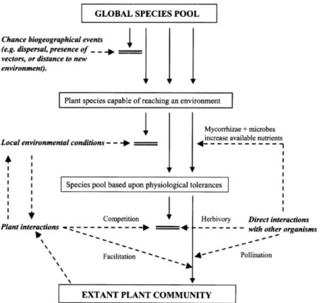 Figure 1.2  Schématisation des filtres environnementaux agissant sur les différents  bassins d’espèces telle que conceptualisée par Lortie et al