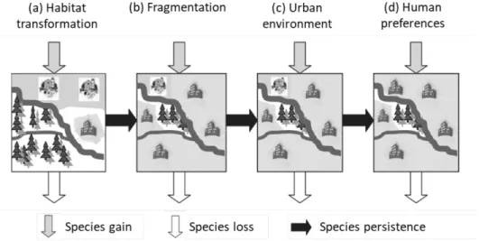 Figure 1.3  Filtres environnementaux agissant sur la composition fonctionnelle des  communautés végétales en milieu urbain, tels que conceptualisés par  Williams et al