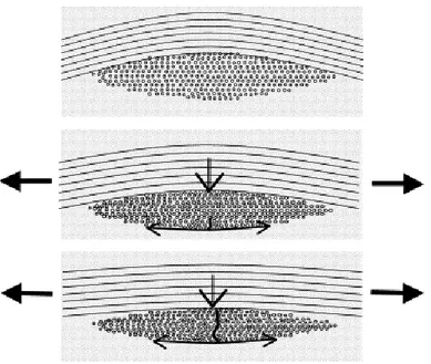 Figure 1.9 – Illustration de la cr´ eation des fissures transverses observ´ ees dans les compo- compo-sites tiss´ es [ Osada et al., 2003 ]