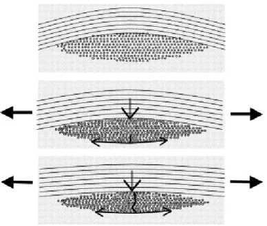 Figure 1.9 – Illustration de la cr´ eation des fissures transverses observ´ ees dans les compo- compo-sites tiss´ es [ Osada et al., 2003 ]