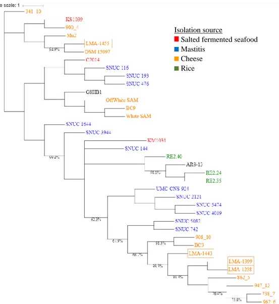 Figure 1. Phylogenomic tree of Staphylococcus equorum based on a core-genome alignment of the  37 genomes generated by parsnp from the Harvest suite and contsructed with RAxML