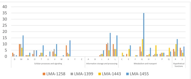 Figure 3. Functional annotation and distribution of the unique genes predicted within four strains of  S