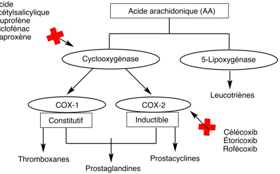 Figure  8.  Schéma  décrivant  l’effet  des  AINS  sur  la  synthèse  des  thromboxanes, 