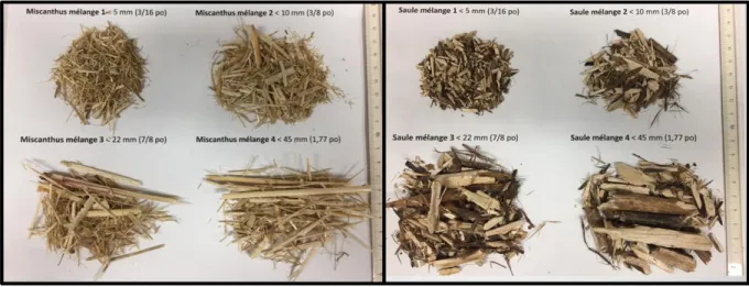 Figure 6: Mélanges de biomasses de miscanthus et saule à différentes tailles de fibres 