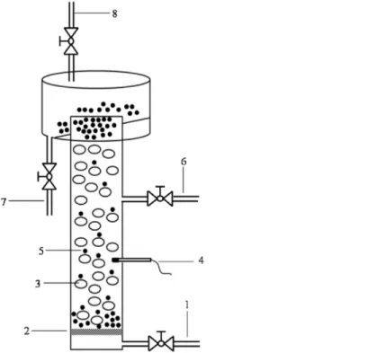 Figure 4. Micro-flotation column set up (MFC). 1. Air inlet 2. Gas diffuser 3. Air bubbles 4