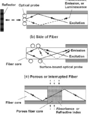 Figure 10.  Différents modes de détection gazeuse à l’aide d’une fibre optique [11]. 