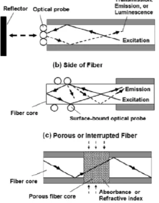 Figure 10.  Différents modes de détection gazeuse à l’aide d’une fibre optique [11]. 