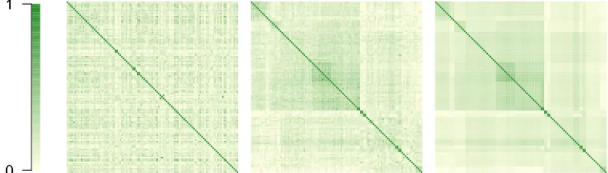 Figure 1.1 – The empirical Kendall’s tau matrix of 107 stocks included in the NASDAQ100 index in the original labeling (left) and after relabeling (middle)