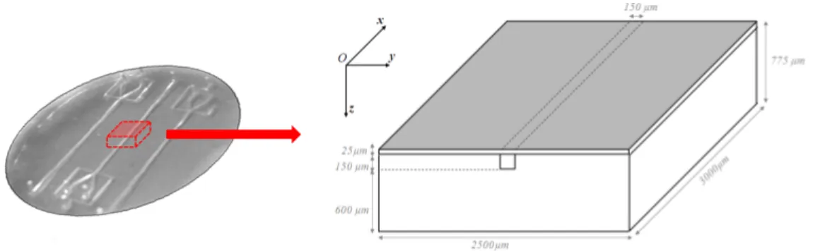 Figure 3.6  Schéma de la géométrie et des dimensions réduites de la puce microuidique pour les simulations