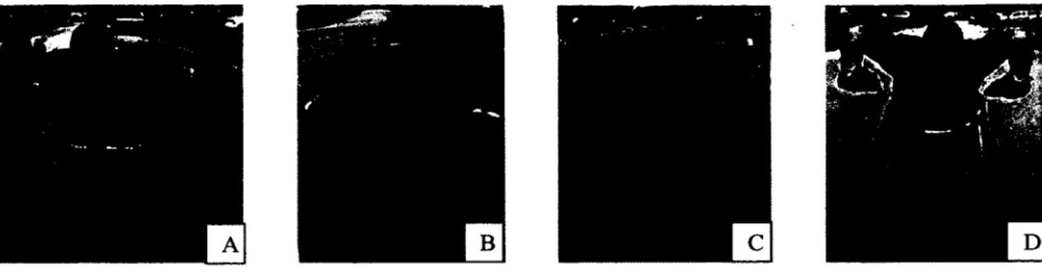 Figure 2.23: A,B,C : Asymétrie du mouvement lors de la phase de récupération, D  : Mouvement symétrique lors de la phase de récupération.