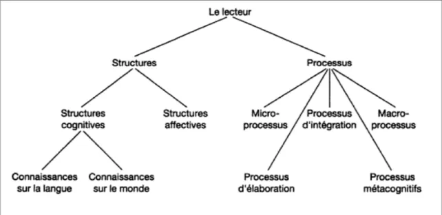 Figure 2 - Composantes de la variable lecteur (Giasson, 1990, p.9). 