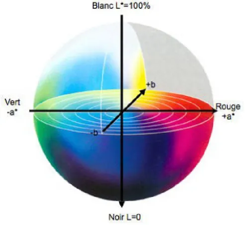 Figure 3.2 : Sphère de la chromaticité absolue selon le système de coordonnées 