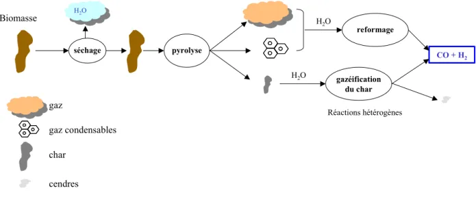 Figure II-4 : Schéma simplifié de la gazéification de la biomasse 