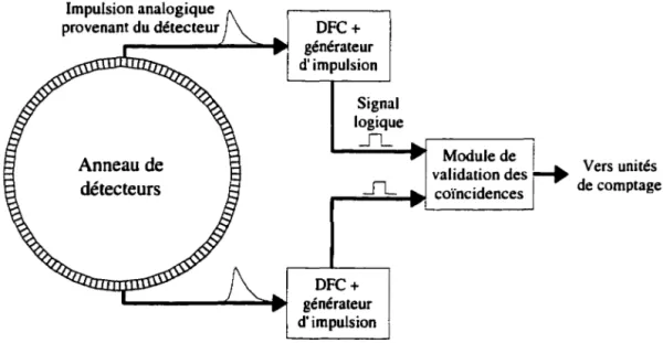 Figure 2-1  - Chaîne électronique précédant un module de validation des coïncidences.  La  Figure  2-1  est  un  schéma simplifié  de  la  chaîne  électronique  qui  traite  les  signaux  provenant de deux détecteurs opposés du tomographe avant de les diri