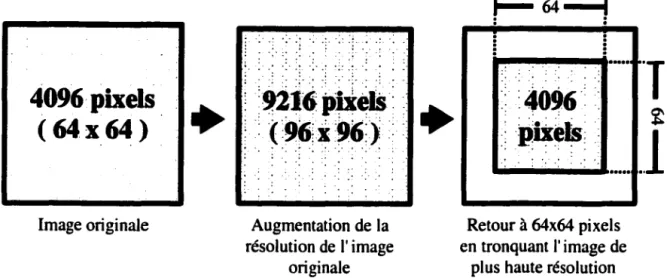 Figure  2-6  - Reconstruction  d'une  image  de  64x64  pixels  limitée  à  une  zone  d'intérêt  réduite d'une image de 96x96 pixels
