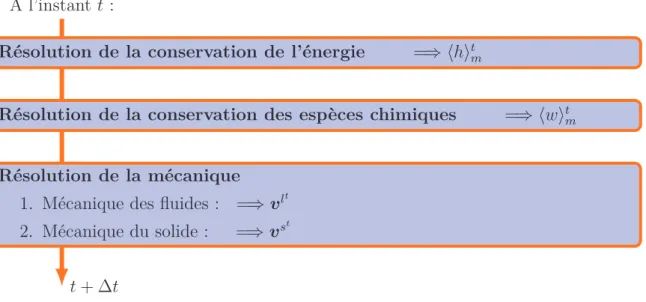 Fig. III.2: Schéma de résolution du modèle de macroségrégation pour un incrément de