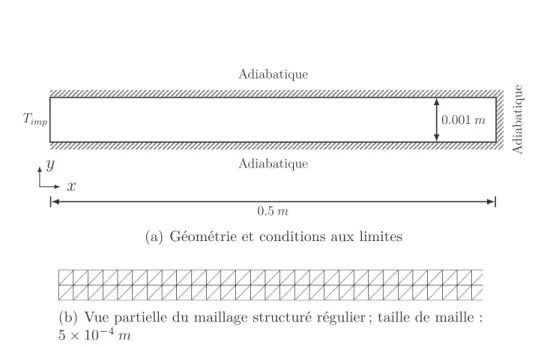 Fig. III.7: Géométrie, conditions aux limites et vue partielle du maillage pour le refroi-