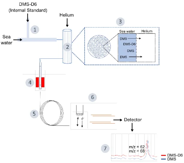 Figure  2.1.  General  scheme  of  the  underway  sampling  method  based  on  the  use  of  an  automated 