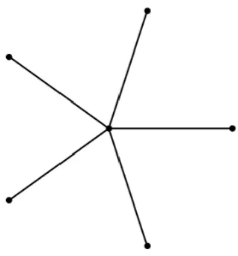 Figure 0.1  Un graphe  étoile équilatéral  à cinq branches.