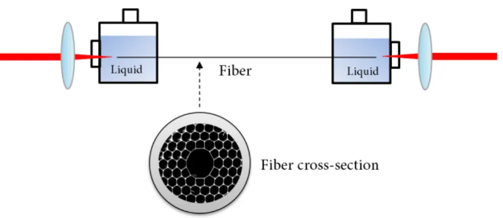 Fig. B1.5: Schematic of the Liquid-filled photonic crystal fiber. The black area of the fiber cross-