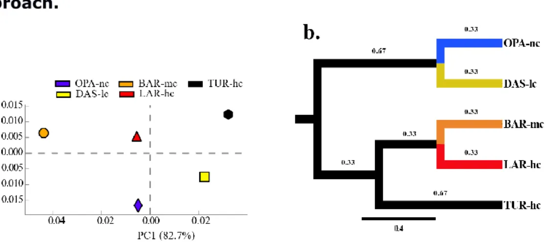 Figure 2. 3 Function abundance classification based on ORF  approach. 